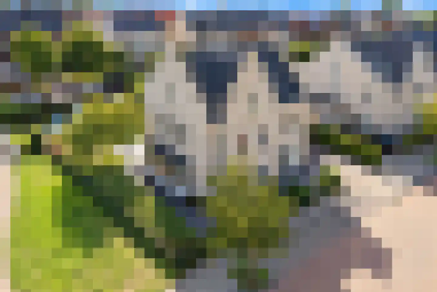 Achterste Kamp 74 Bunschoten-Spakenburg thumbnail 4