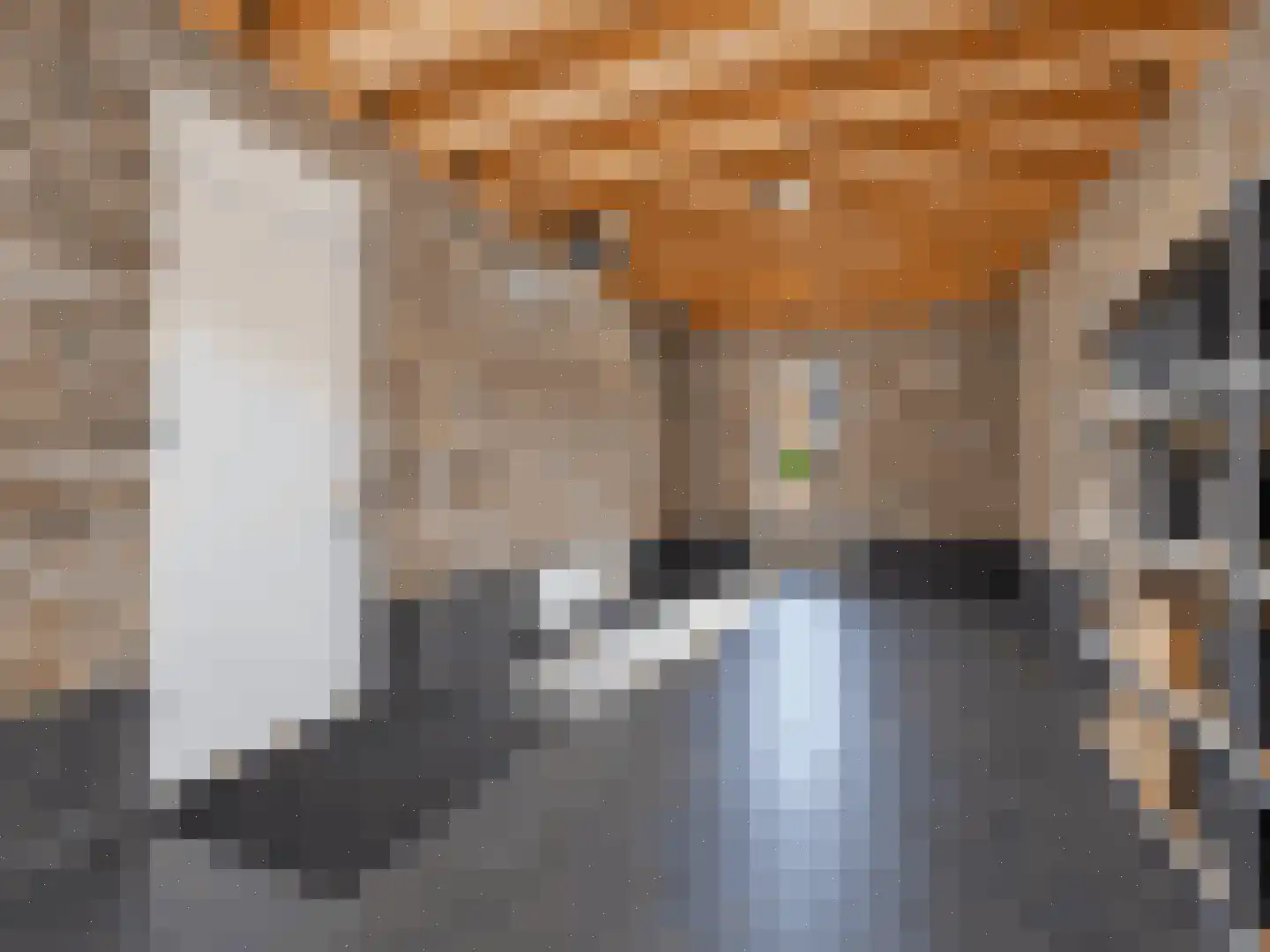 Achterste Kamp 74 Bunschoten-Spakenburg thumbnail 56