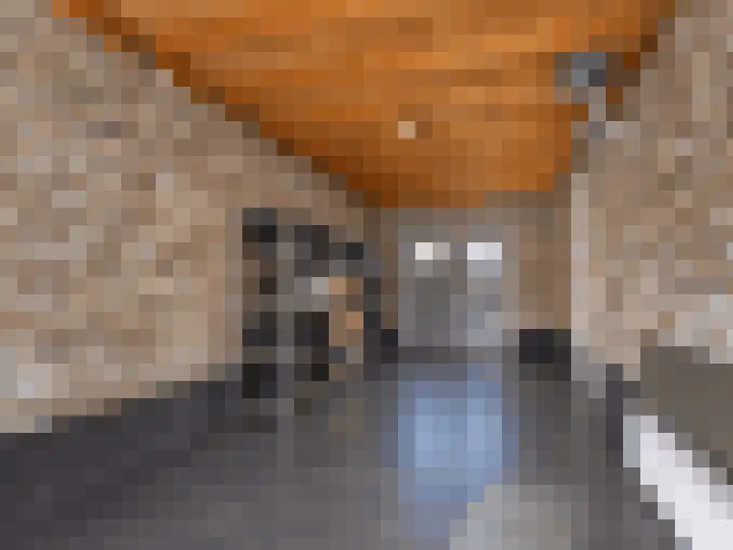 Achterste Kamp 74 Bunschoten-Spakenburg thumbnail 57
