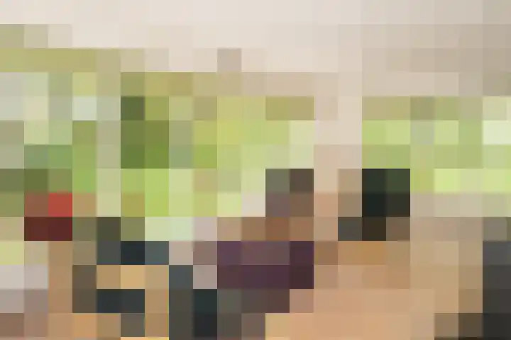 Achterste Molenweg 12 Epe thumbnail 11