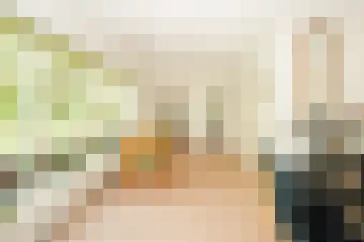 Achterste Molenweg 12 Epe thumbnail 12