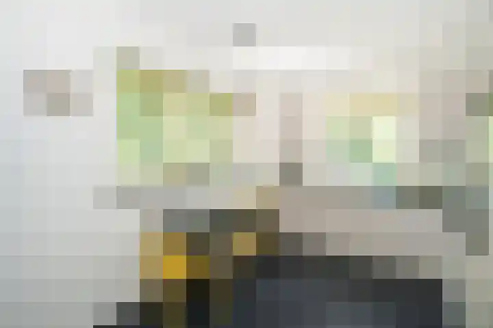 Achterste Molenweg 12 Epe thumbnail 13