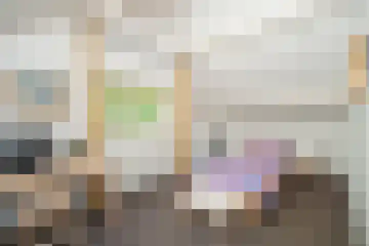 Achterste Molenweg 12 Epe thumbnail 19