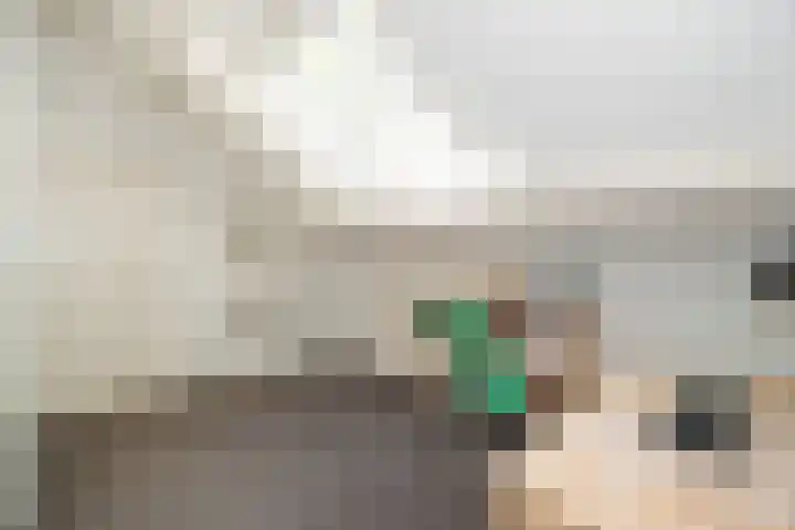 Achterste Molenweg 12 Epe thumbnail 20