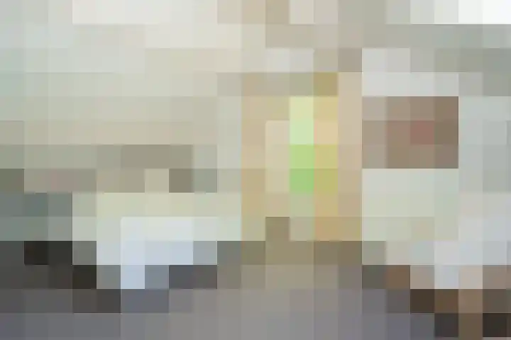 Achterste Molenweg 12 Epe thumbnail 21