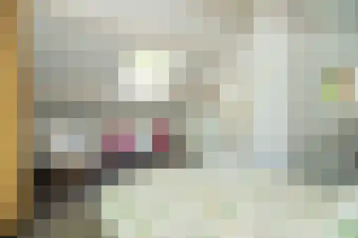 Achterste Molenweg 12 Epe thumbnail 22