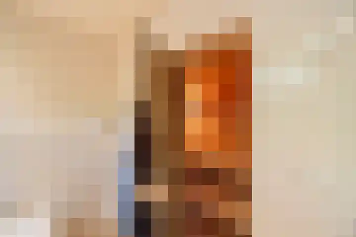 Achterste Molenweg 12 Epe thumbnail 29