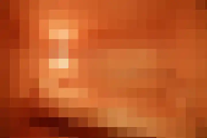 Achterste Molenweg 12 Epe thumbnail 30