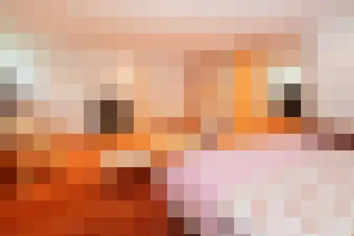 Achterste Molenweg 12 Epe thumbnail 32