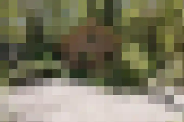 Achterste Molenweg 12 Epe thumbnail 33