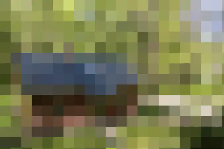 Achterste Molenweg 12 Epe thumbnail 34