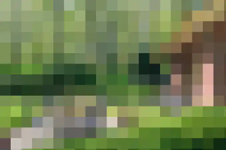 Achterste Molenweg 12 Epe thumbnail 35