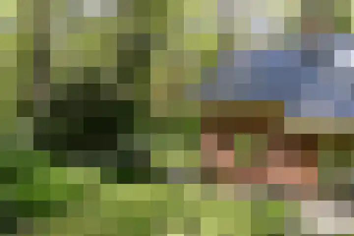 Achterste Molenweg 12 Epe thumbnail 36
