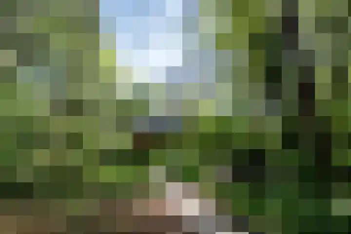 Achterste Molenweg 12 Epe thumbnail 37
