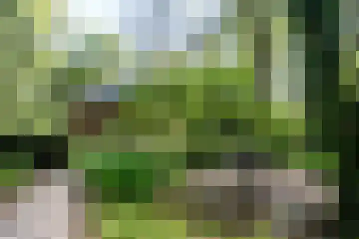 Achterste Molenweg 12 Epe thumbnail 38