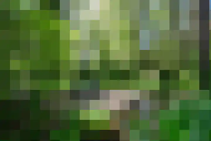 Achterste Molenweg 12 Epe thumbnail 39