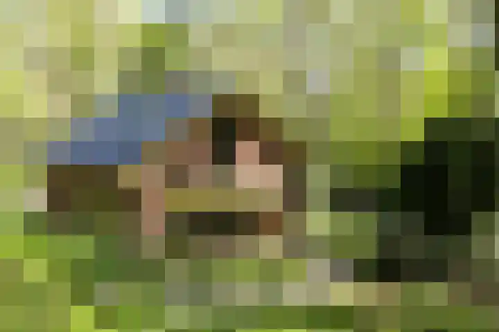 Achterste Molenweg 12 Epe thumbnail 4