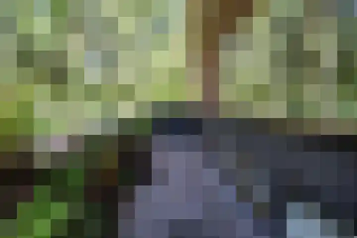 Achterste Molenweg 12 Epe thumbnail 40