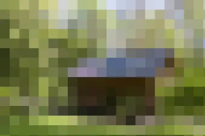 Achterste Molenweg 12 Epe thumbnail 41