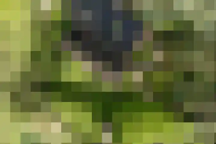 Achterste Molenweg 12 Epe thumbnail 42