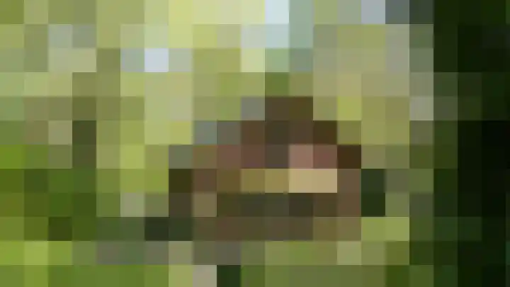 Achterste Molenweg 12 Epe thumbnail 46