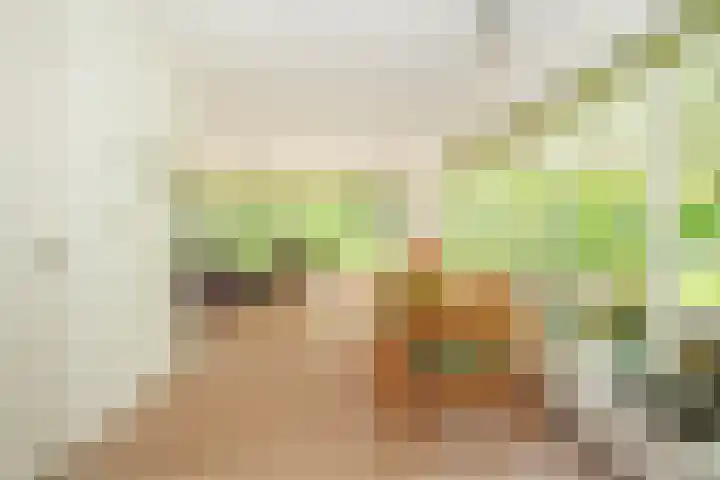 Achterste Molenweg 12 Epe thumbnail 7