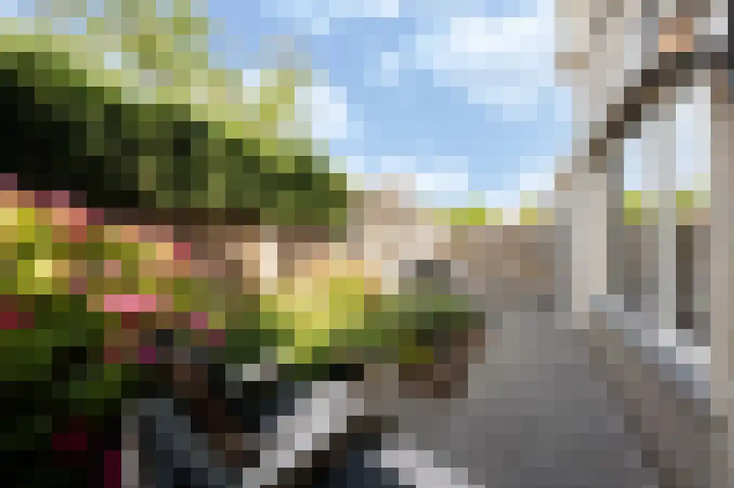 Achterste Monnikenland 40 Hoeven thumbnail 24