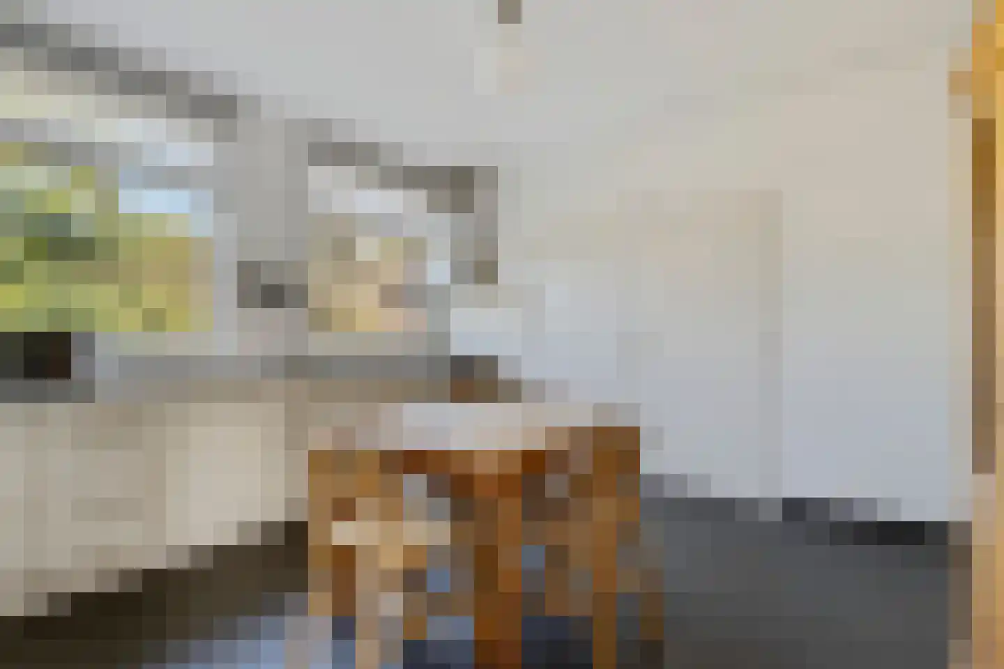 Achterste Schaapsdijk 2 Klein Zundert thumbnail 10