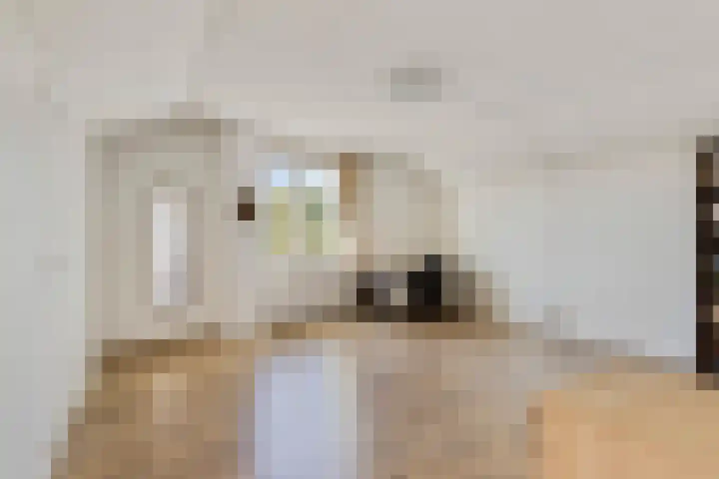 Achterste Schaapsdijk 2 Klein Zundert thumbnail 22