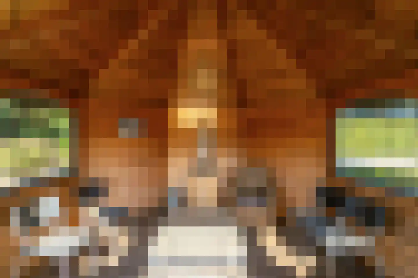 Achterste Schaapsdijk 2 Klein Zundert thumbnail 25