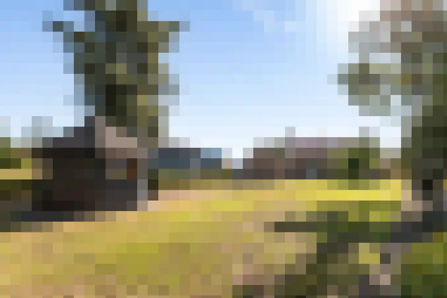 Achterste Schaapsdijk 2 Klein Zundert thumbnail 26