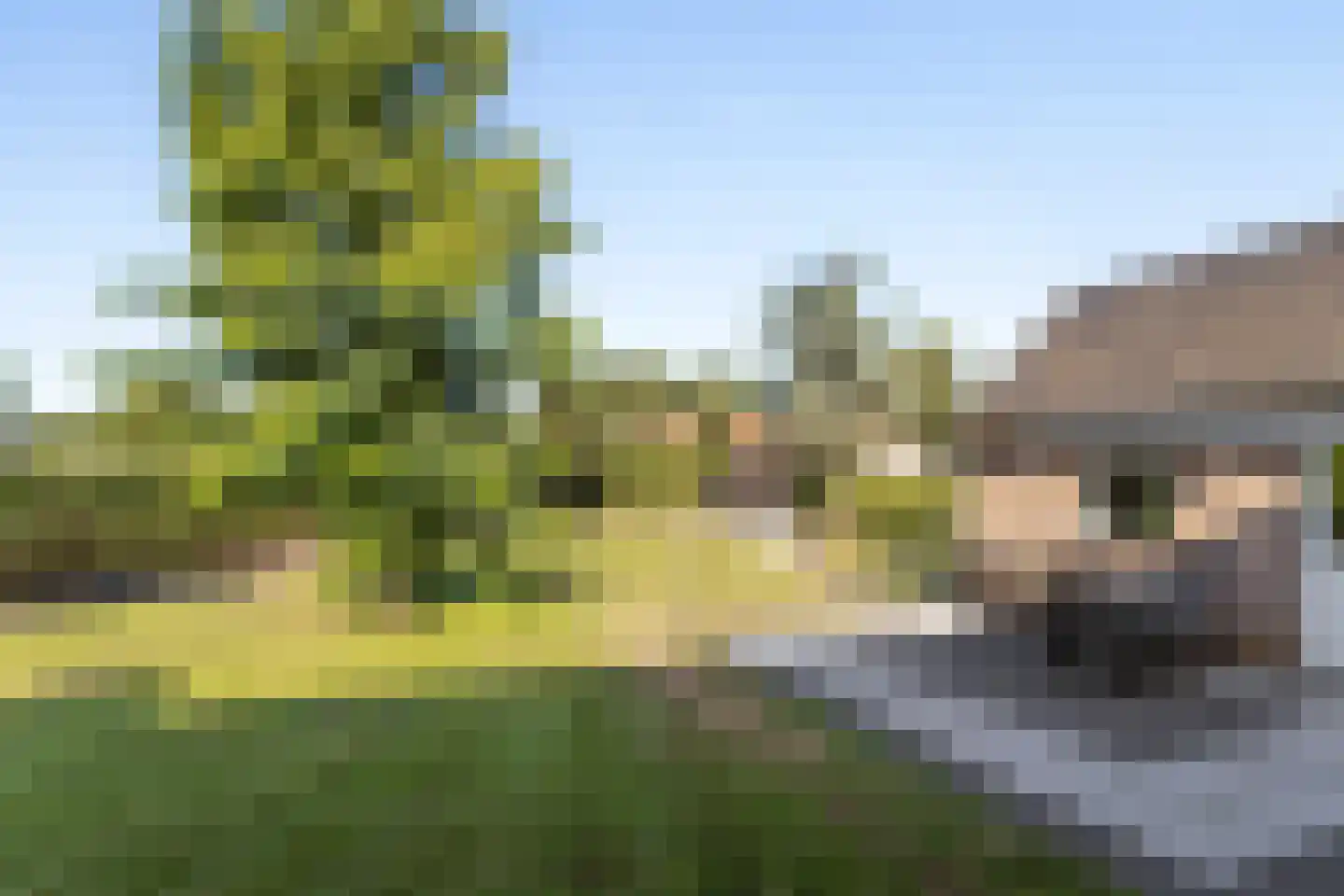 Achterste Schaapsdijk 2 Klein Zundert thumbnail 29