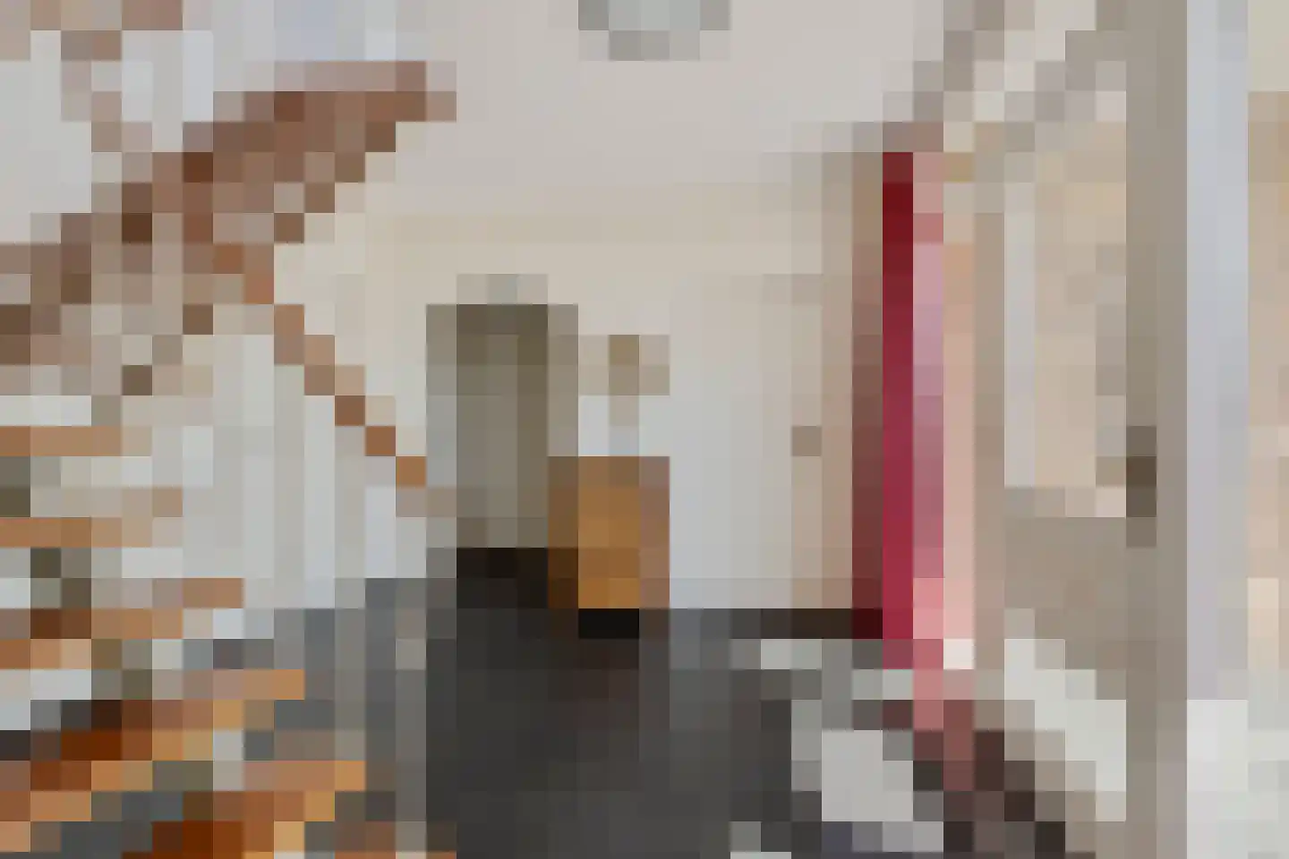 Achterste Schaapsdijk 2 Klein Zundert thumbnail 7