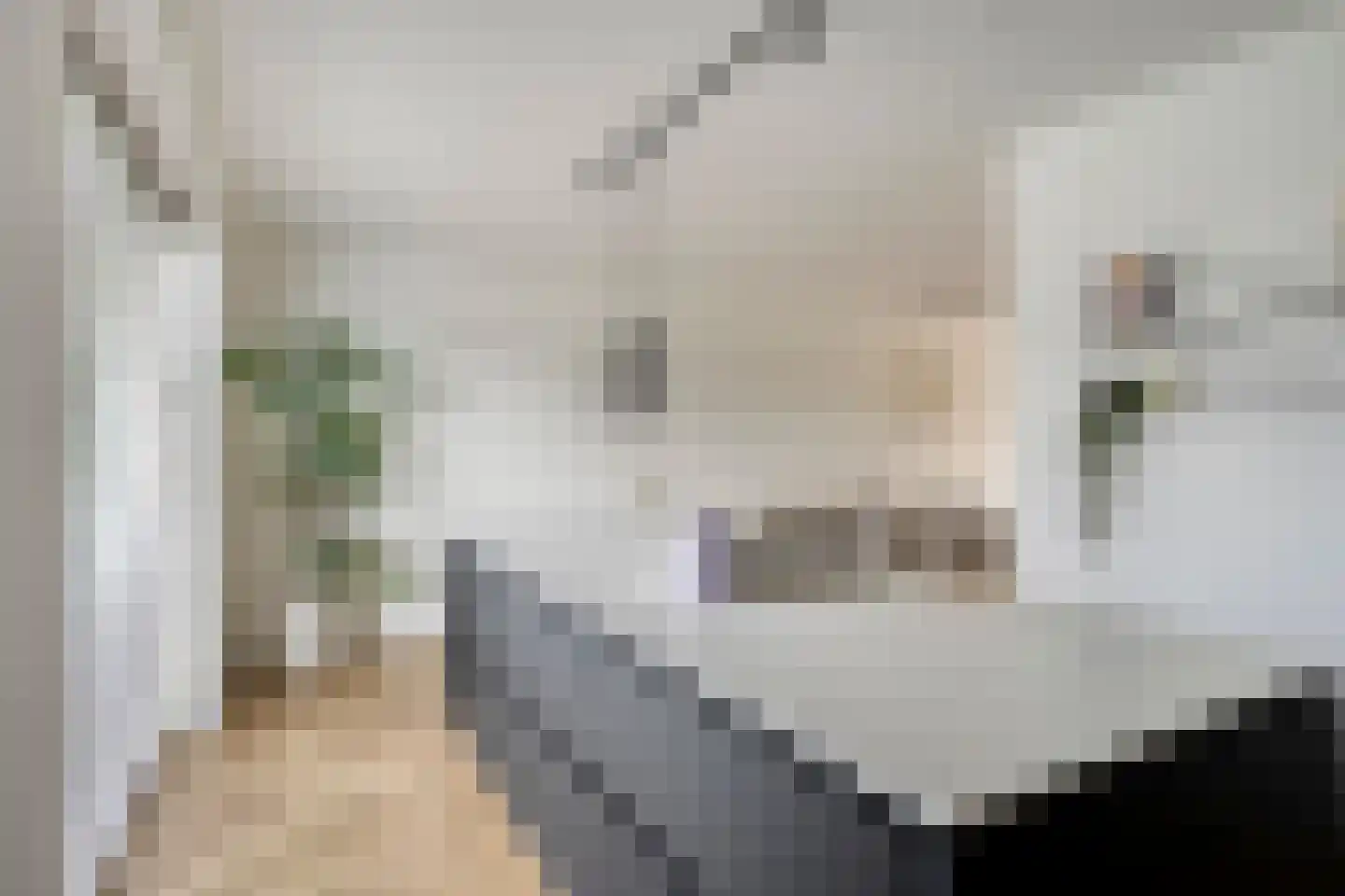 Achterste Schotte 3 Best thumbnail 19
