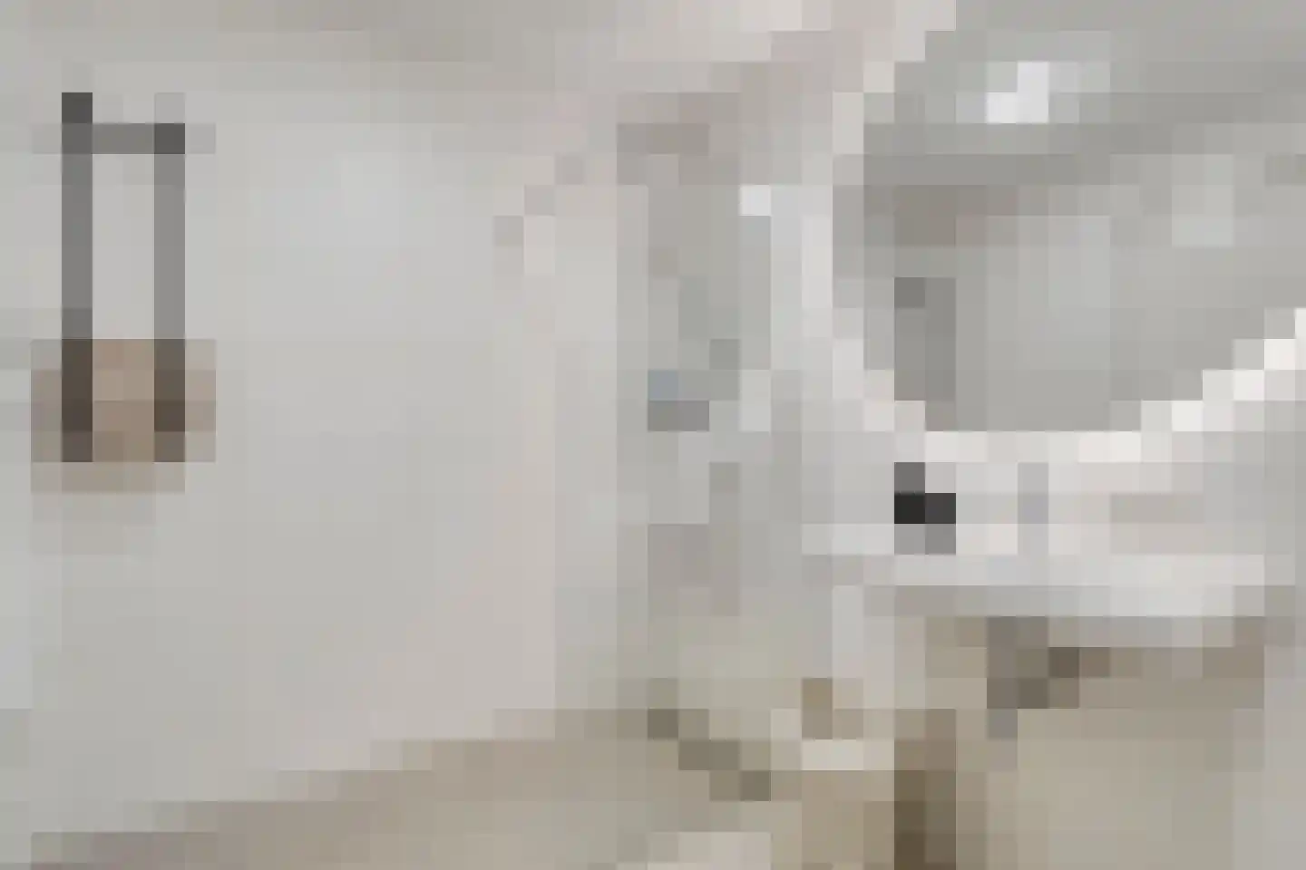 Achterste Schotte 3 Best thumbnail 25