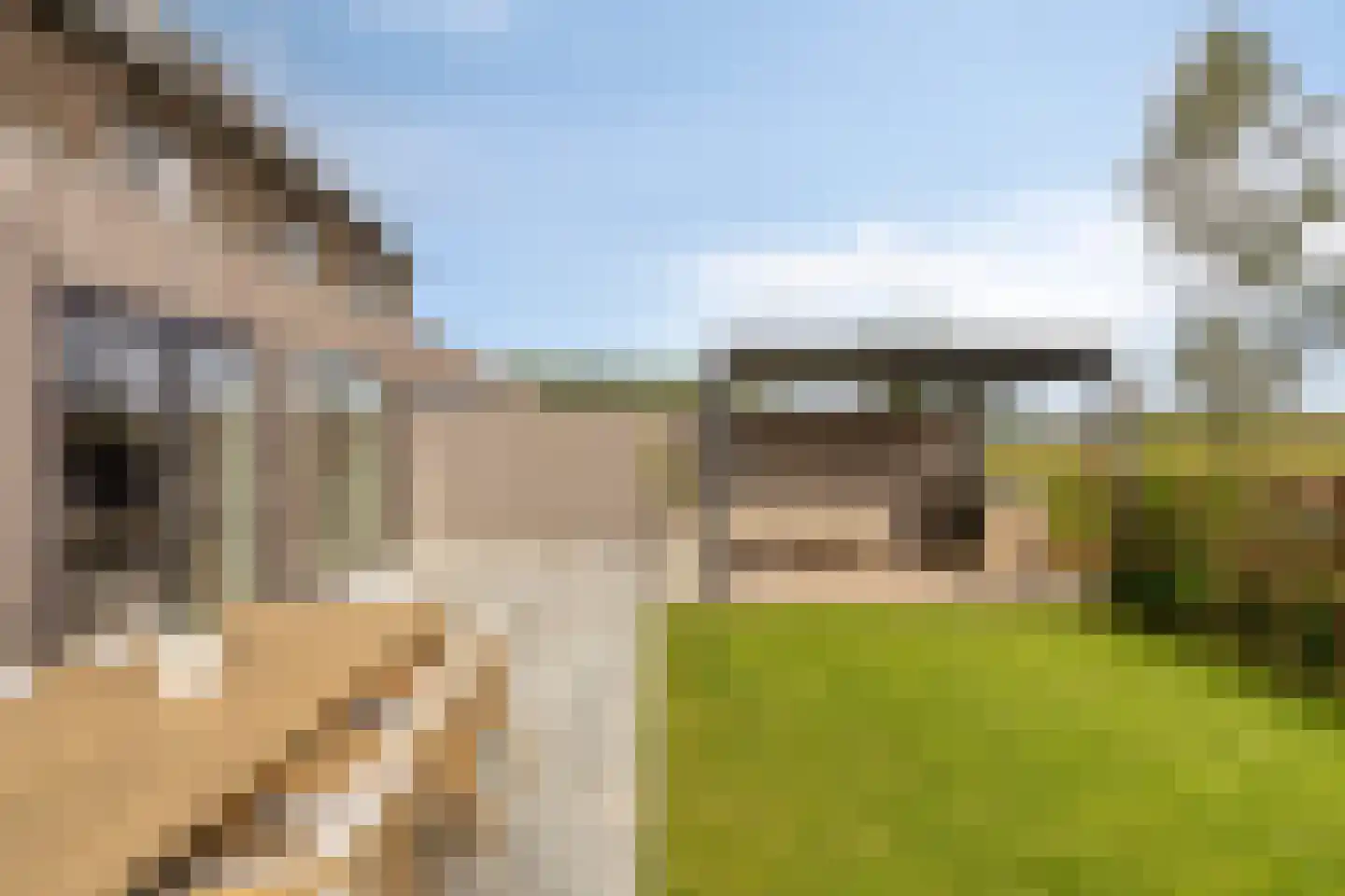 Achterste Schotte 3 Best thumbnail 38