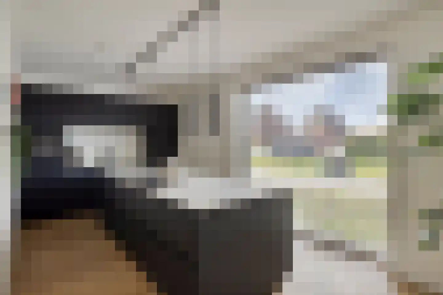 Achterste Schotte 3 Best thumbnail 4