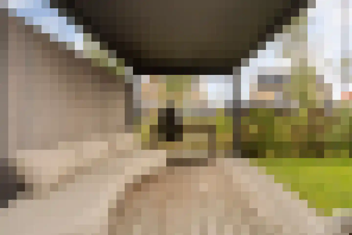 Achterste Schotte 3 Best thumbnail 40