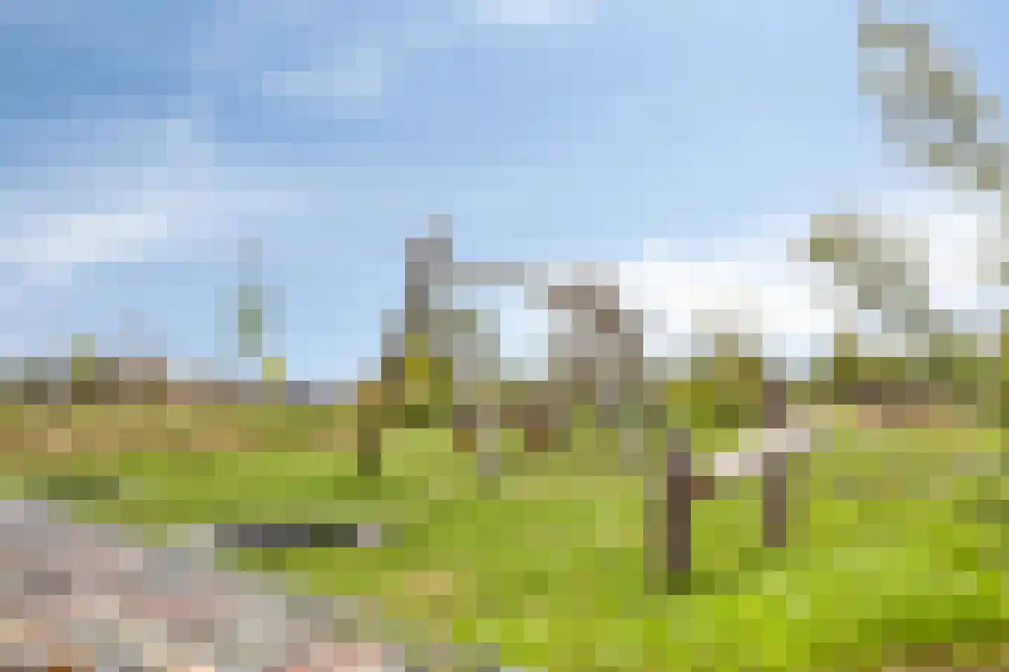 Achterste Schotte 3 Best thumbnail 44