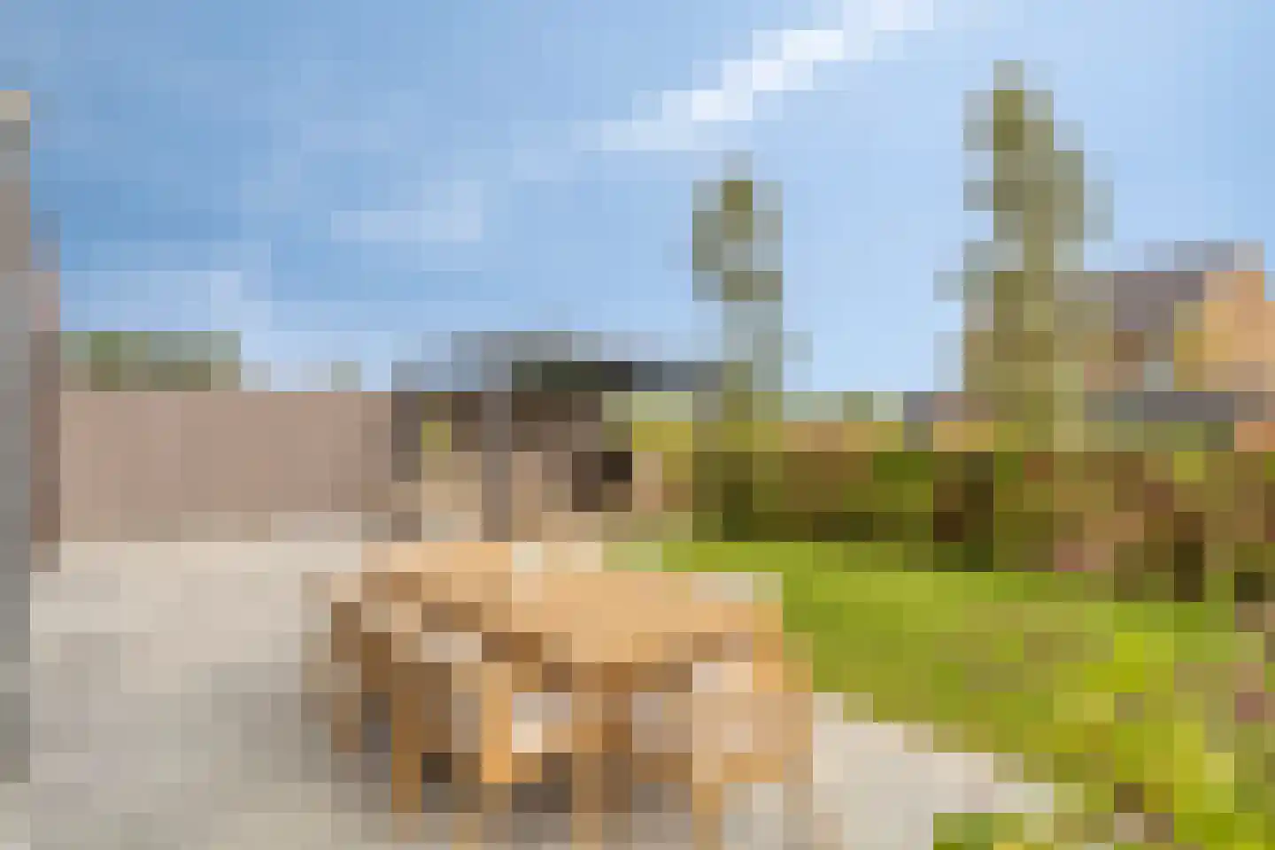 Achterste Schotte 3 Best thumbnail 5