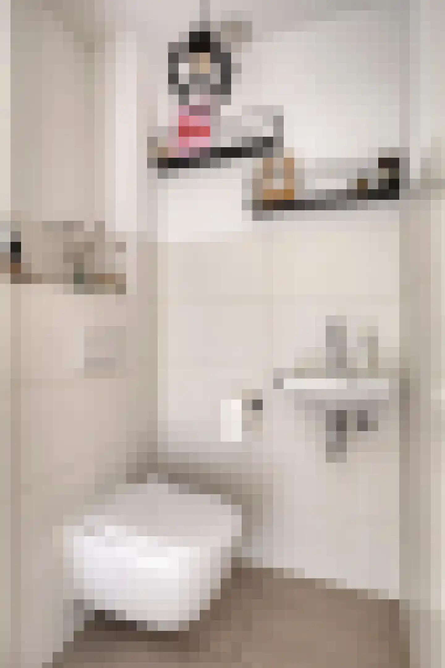 Achterste Schotte 3 Best thumbnail 8
