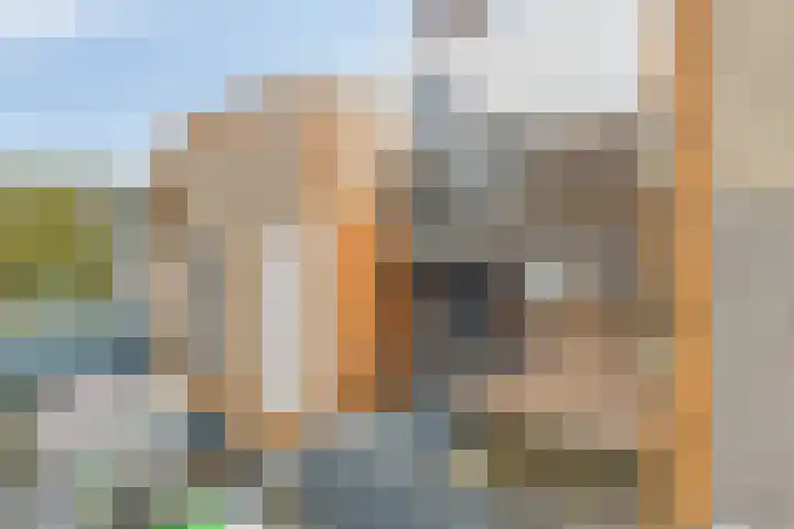 Achterste Wei 27 Harderwijk thumbnail 29