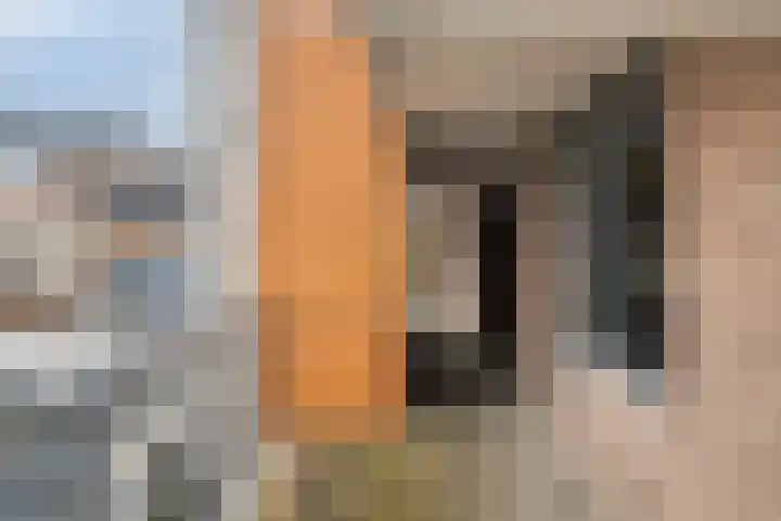 Achterste Wei 27 Harderwijk thumbnail 31
