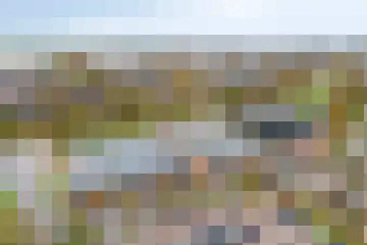 Achterste Wei 27 Harderwijk thumbnail 40