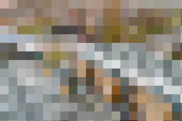 Achterste Wei 27 Harderwijk thumbnail 41