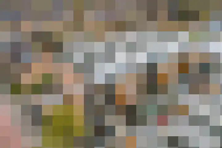 Achterste Wei 27 Harderwijk thumbnail 42