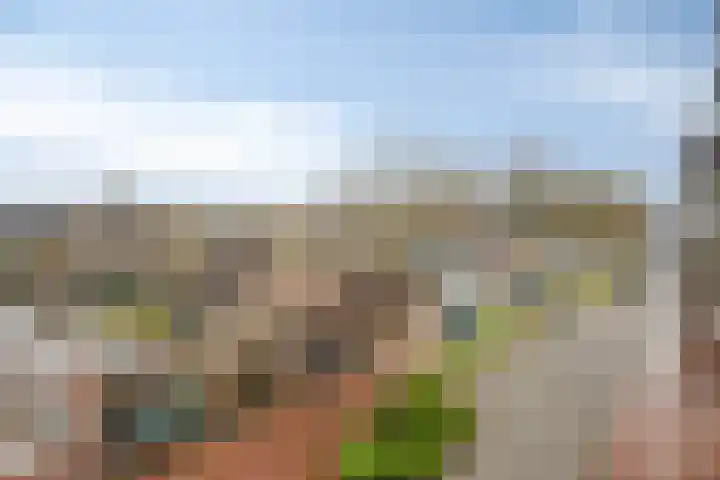 Achterste Wei 27 Harderwijk thumbnail 43