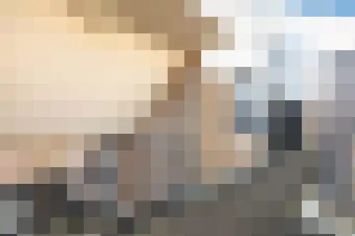 Achterste Wei 53 Harderwijk thumbnail 11