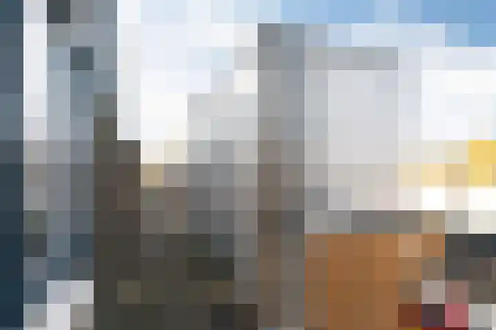 Achterste Wei 53 Harderwijk thumbnail 15