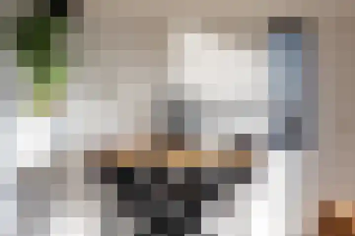 Achterste Wei 53 Harderwijk thumbnail 24